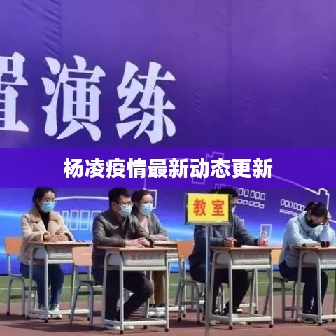 杨凌疫情最新动态更新