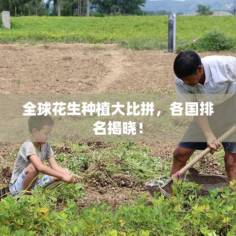 全球花生种植大比拼，各国排名揭晓！