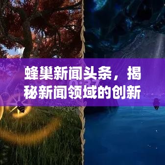 蜂巢新闻头条，揭秘新闻领域的创新探索之旅