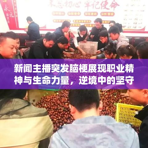 新闻主播突发脑梗展现职业精神与生命力量，逆境中的坚守与坚韧