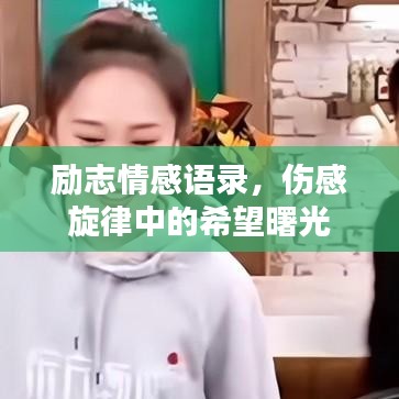 励志情感语录，伤感旋律中的希望曙光