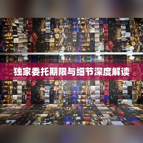 独家委托期限与细节深度解读