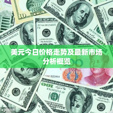 美元今日价格走势及最新市场分析概览