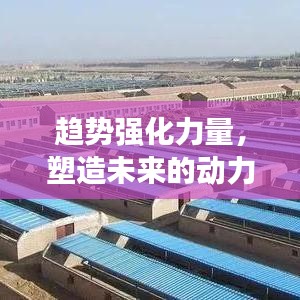 趋势强化力量，塑造未来的动力之源