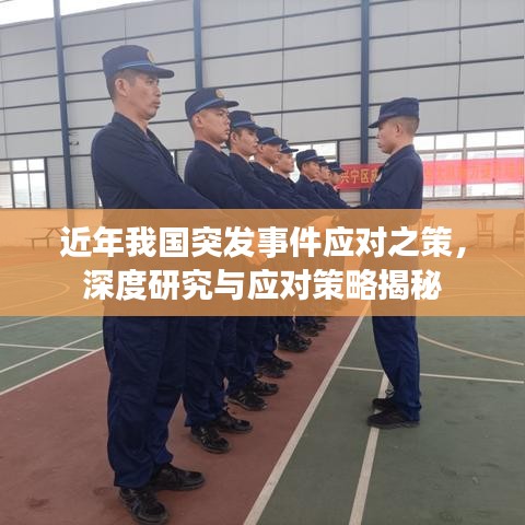 近年我国突发事件应对之策，深度研究与应对策略揭秘