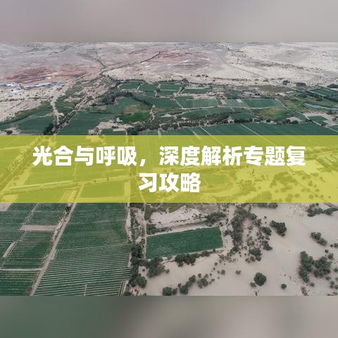 光合与呼吸，深度解析专题复习攻略