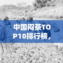 中国闷茶TOP10排行榜，茶香四溢不可不知！