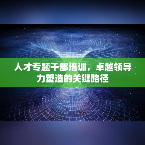 人才专题干部培训，卓越领导力塑造的关键路径