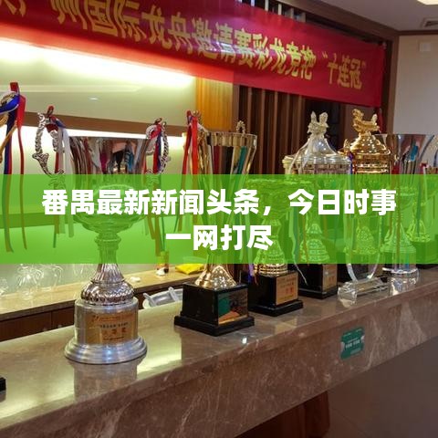 番禺最新新闻头条，今日时事一网打尽