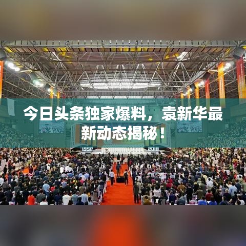 今日头条独家爆料，袁新华最新动态揭秘！