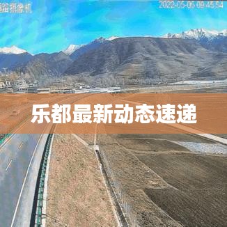 乐都最新动态速递