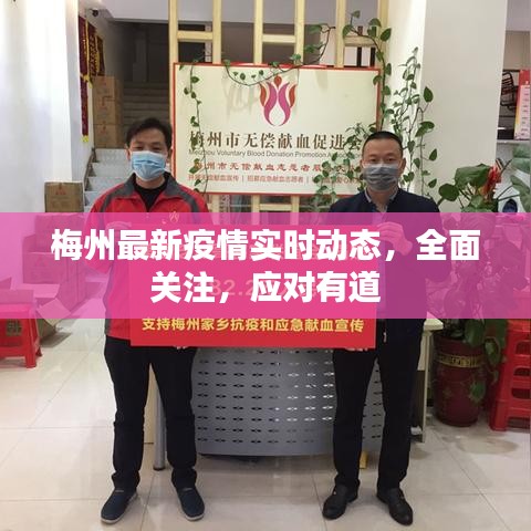 梅州最新疫情实时动态，全面关注，应对有道