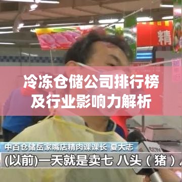 冷冻仓储公司排行榜及行业影响力解析