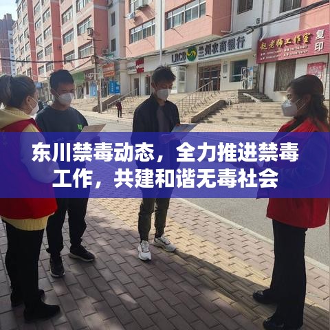 东川禁毒动态，全力推进禁毒工作，共建和谐无毒社会