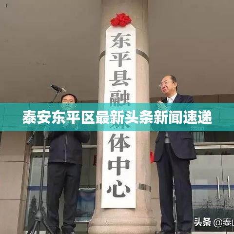 泰安东平区最新头条新闻速递