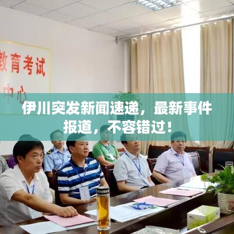 伊川突发新闻速递，最新事件报道，不容错过！