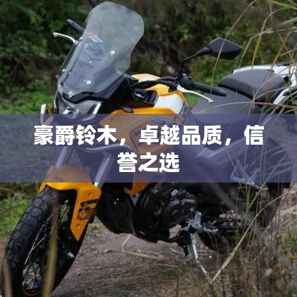 豪爵铃木，卓越品质，信誉之选