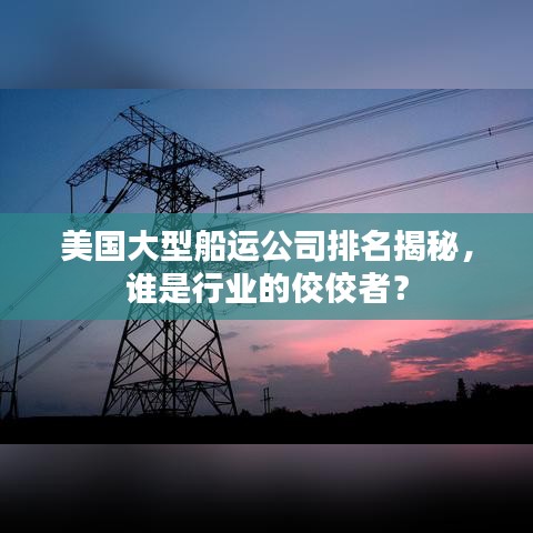 美国大型船运公司排名揭秘，谁是行业的佼佼者？