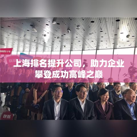上海排名提升公司，助力企业攀登成功高峰之巅