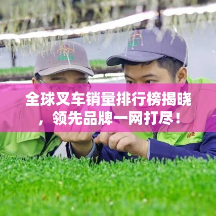 全球叉车销量排行榜揭晓，领先品牌一网打尽！