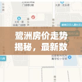 鹭洲房价走势揭秘，最新数据分析，洞悉未来趋势！