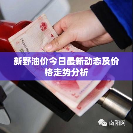 新野油价今日最新动态及价格走势分析