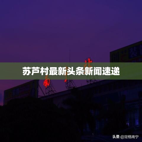 苏芦村最新头条新闻速递