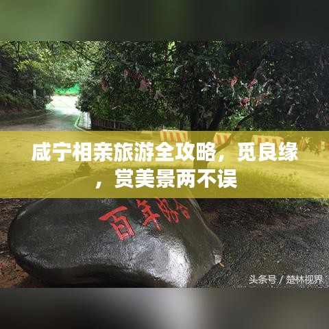 咸宁相亲旅游全攻略，觅良缘，赏美景两不误