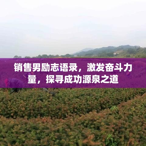 销售男励志语录，激发奋斗力量，探寻成功源泉之道