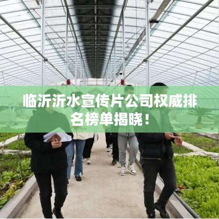 临沂沂水宣传片公司权威排名榜单揭晓！