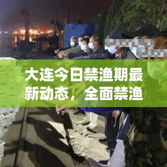 大连今日禁渔期最新动态，全面禁渔，保护海洋生态！