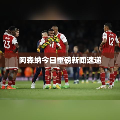 阿森纳今日重磅新闻速递