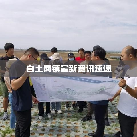 白土岗镇最新资讯速递
