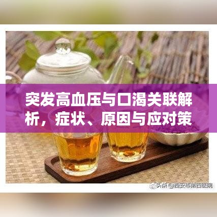 突发高血压与口渴关联解析，症状、原因与应对策略