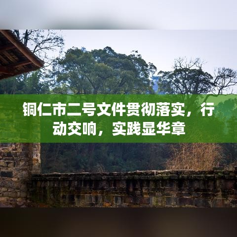 铜仁市二号文件贯彻落实，行动交响，实践显华章
