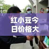 红小豆今日价格大揭秘，最新行情一网打尽