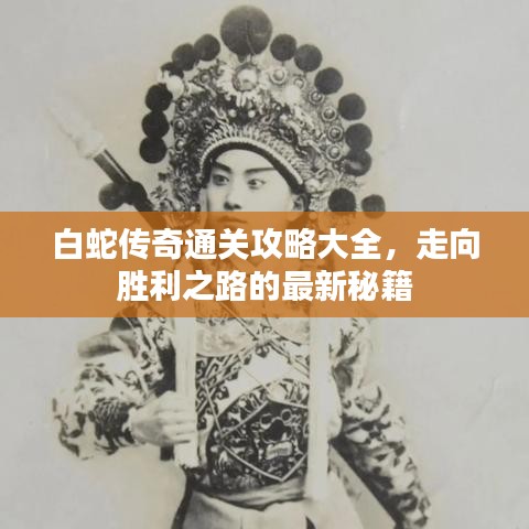 白蛇传奇通关攻略大全，走向胜利之路的最新秘籍