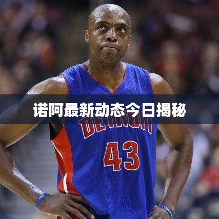 诺阿最新动态今日揭秘