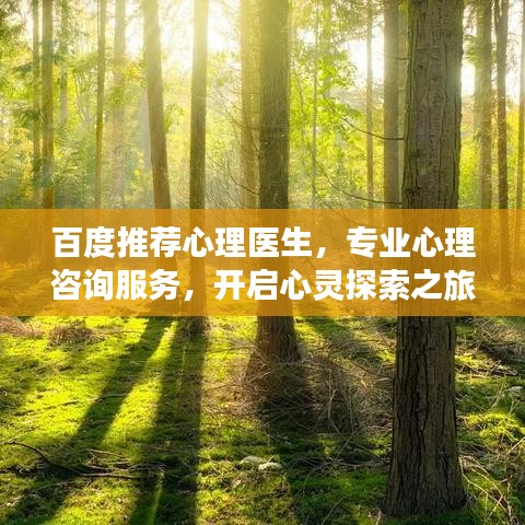 百度推荐心理医生，专业心理咨询服务，开启心灵探索之旅