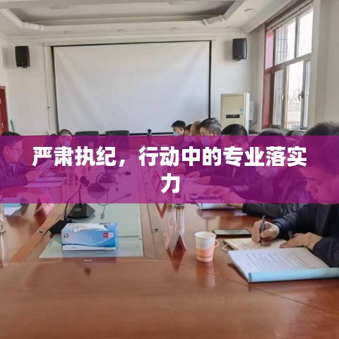 严肃执纪，行动中的专业落实力