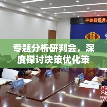 专题分析研判会，深度探讨决策优化策略