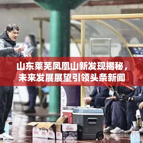 山东莱芜凤凰山新发现揭秘，未来发展展望引领头条新闻