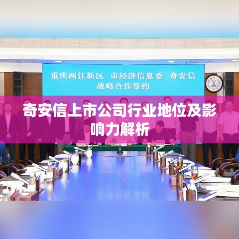 奇安信上市公司行业地位及影响力解析