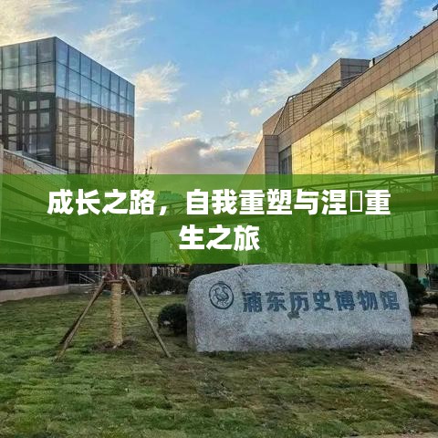 成长之路，自我重塑与涅槃重生之旅