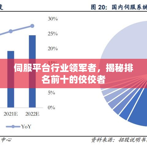 伺服平台行业领军者，揭秘排名前十的佼佼者