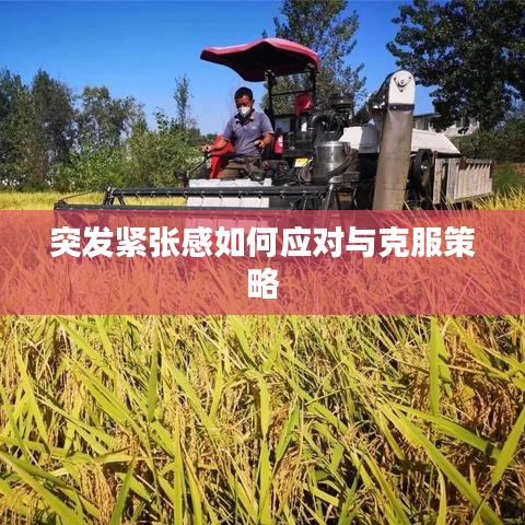 突发紧张感如何应对与克服策略