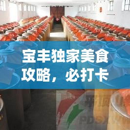 宝丰独家美食攻略，必打卡的几家店铺！