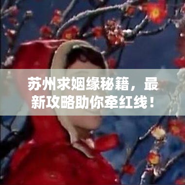 苏州求姻缘秘籍，最新攻略助你牵红线！
