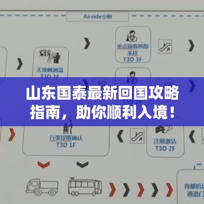 山东国泰最新回国攻略指南，助你顺利入境！