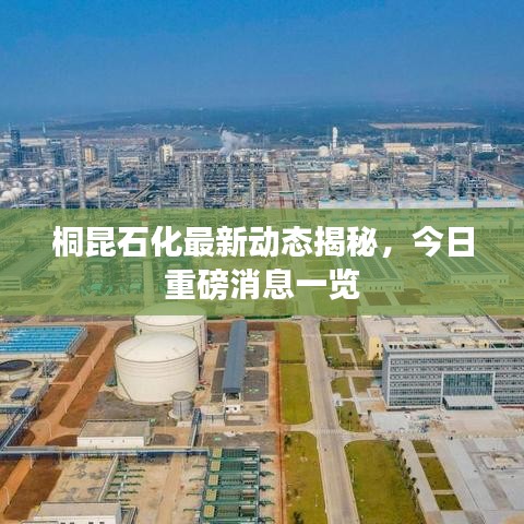 桐昆石化最新动态揭秘，今日重磅消息一览